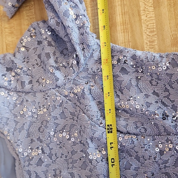 ALEX EVENINGS Long Gown Sequin Lace Bodice & Chifon Skirt, 8P - Picture 9 of 16